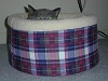 cat_029.jpg (147528 bytes)
